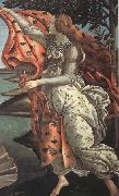 The Birth of Venus botticelli